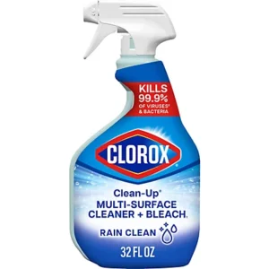 Clorox Spray